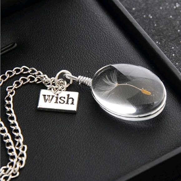 Transparent Oval Dandelion Pendant Necklace - Picture 3 of 3